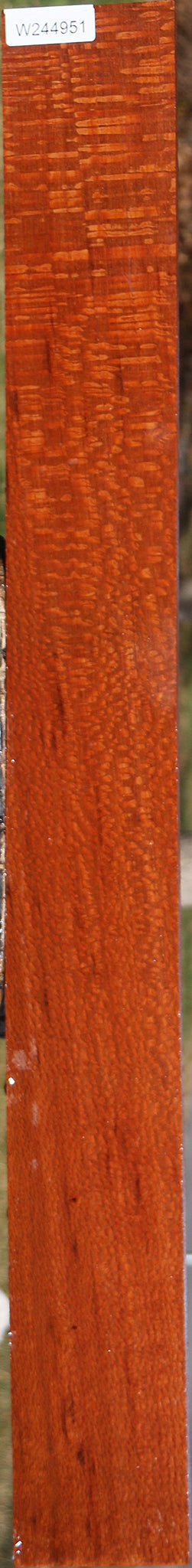 Extra Fancy Leopardwood Lumber