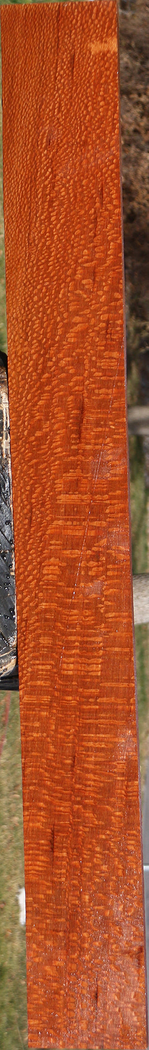 Extra Fancy Leopardwood Lumber