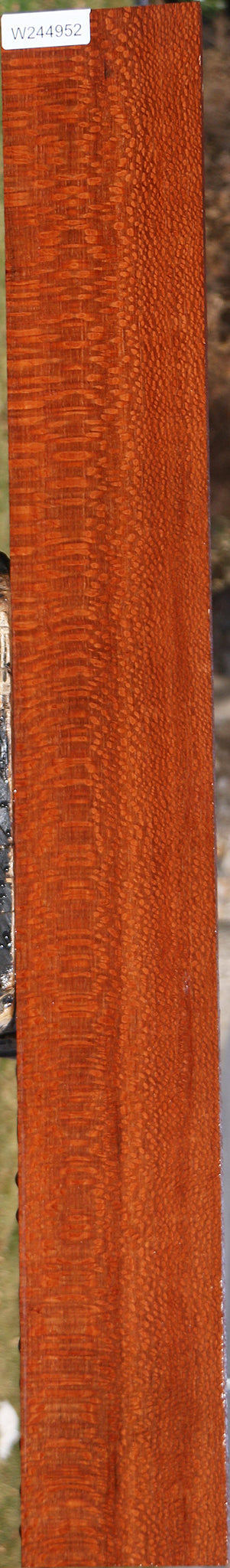 Extra Fancy Leopardwood Lumber