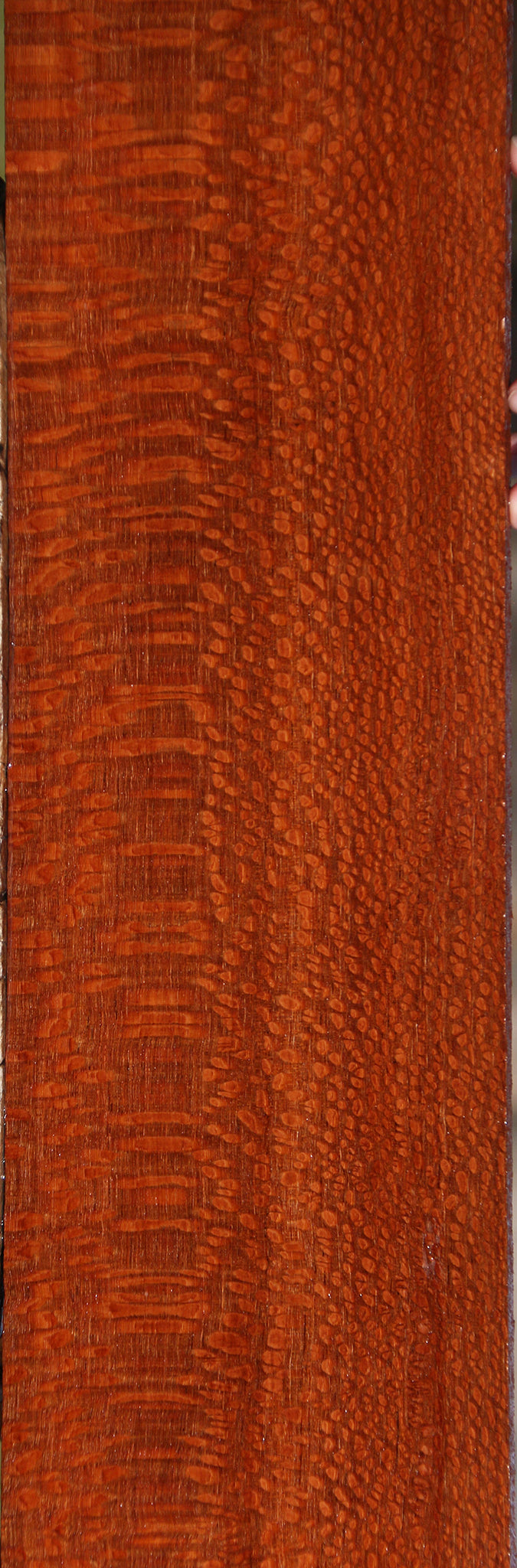 Extra Fancy Leopardwood Lumber