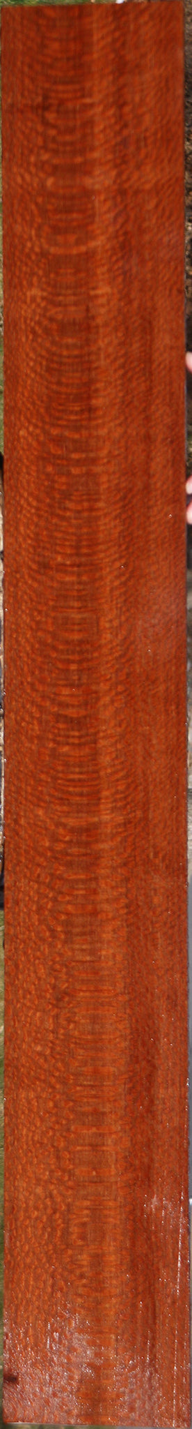 Extra Fancy Leopardwood Lumber