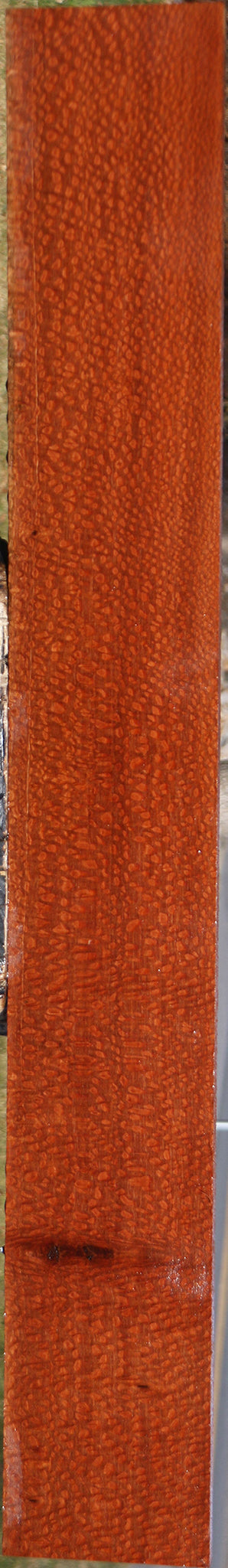 Exhibition Leopardwood Lumber