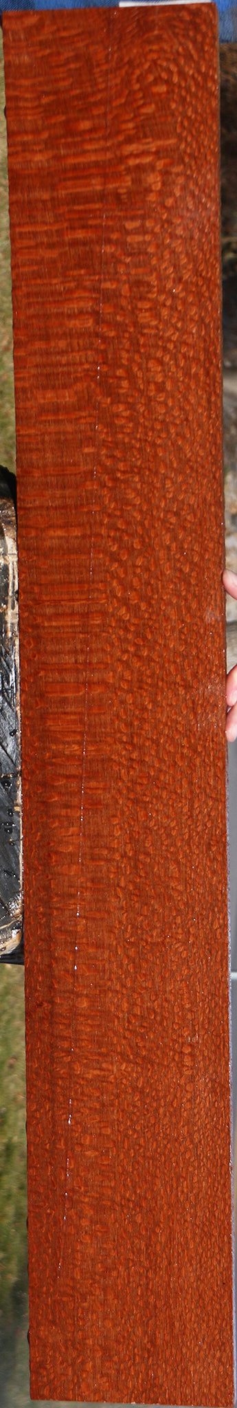 Extra Fancy Leopardwood Lumber