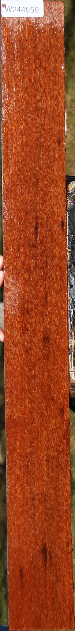 Leopardwood Lumber
