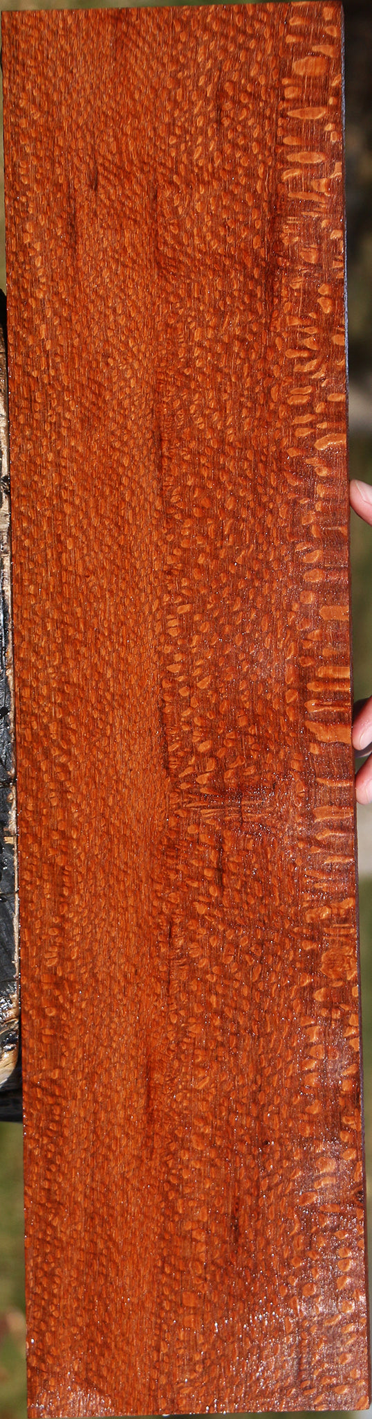 Extra Fancy Leopardwood Lumber