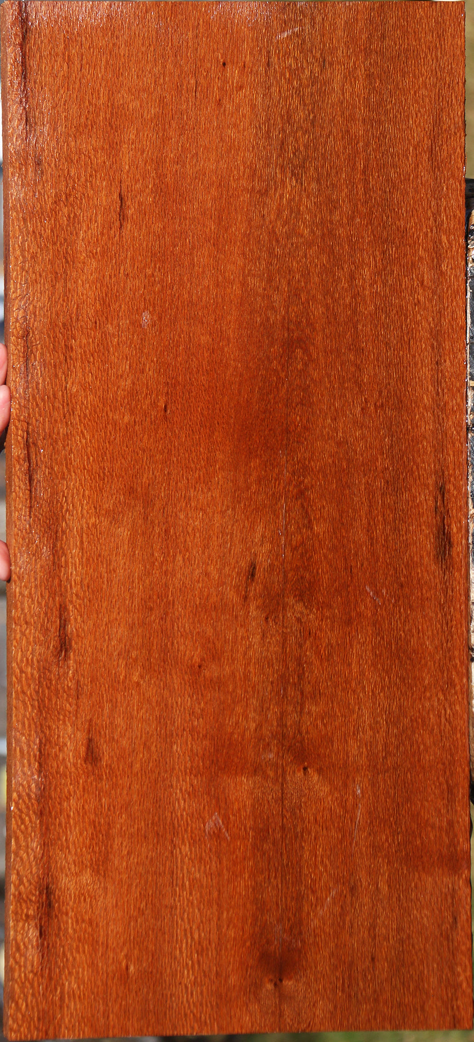 Leopardwood Lumber