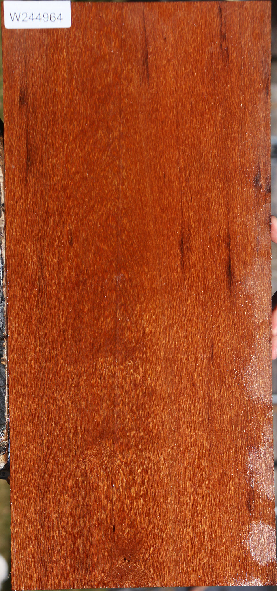 Leopardwood Lumber
