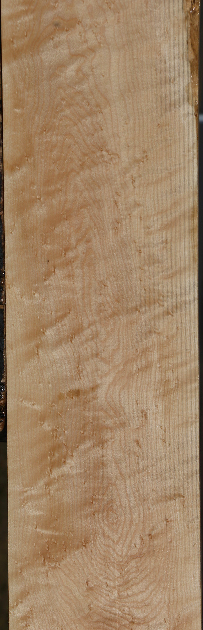 Extra Fancy Birdseye Maple Lumber