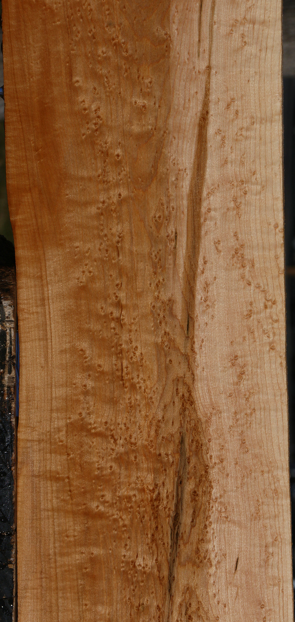 Extra Fancy Birdseye Maple Lumber