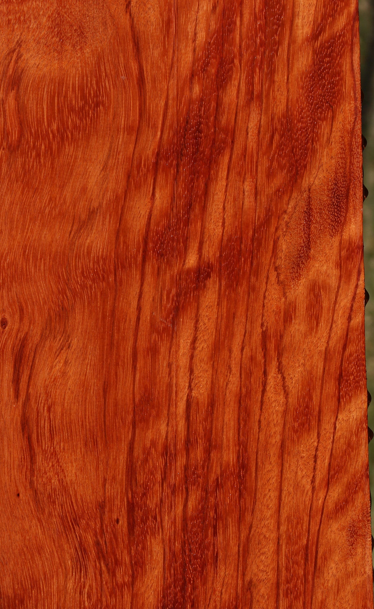 Figured Ebiara Lumber (Free Shipping Excluded)