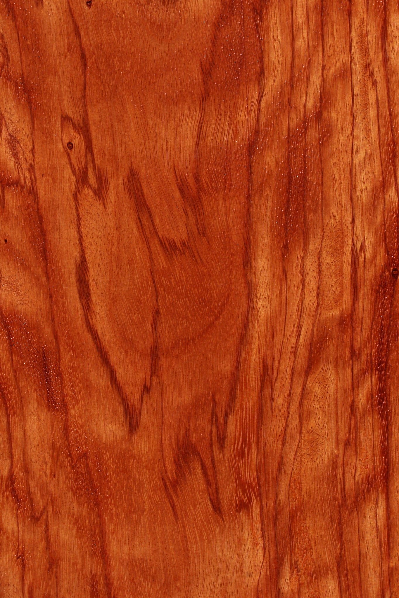 Extra Fancy Ebiara Lumber (Free Shipping Excluded)