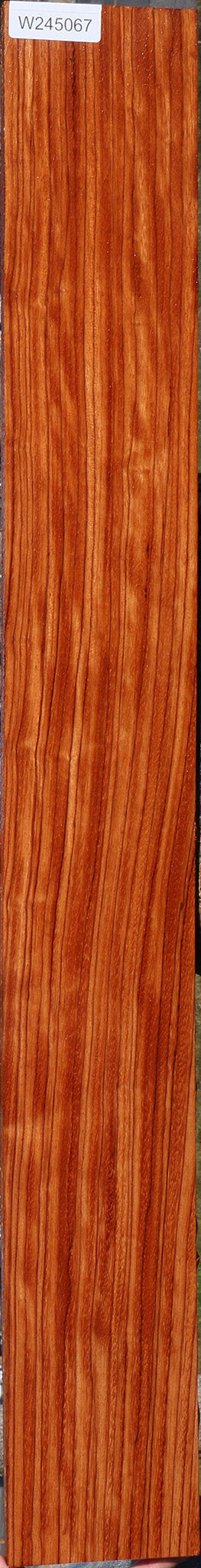 Ebiara Lumber