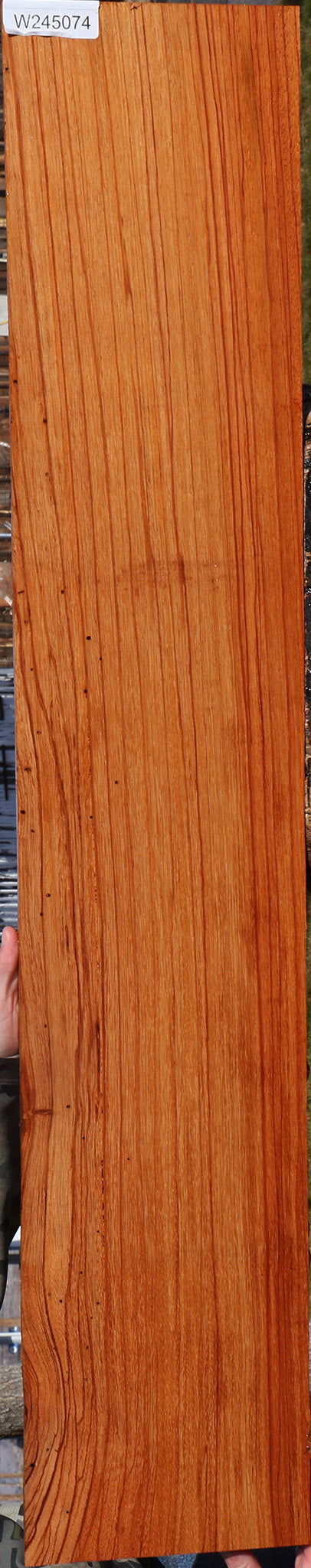 Ebiara Lumber