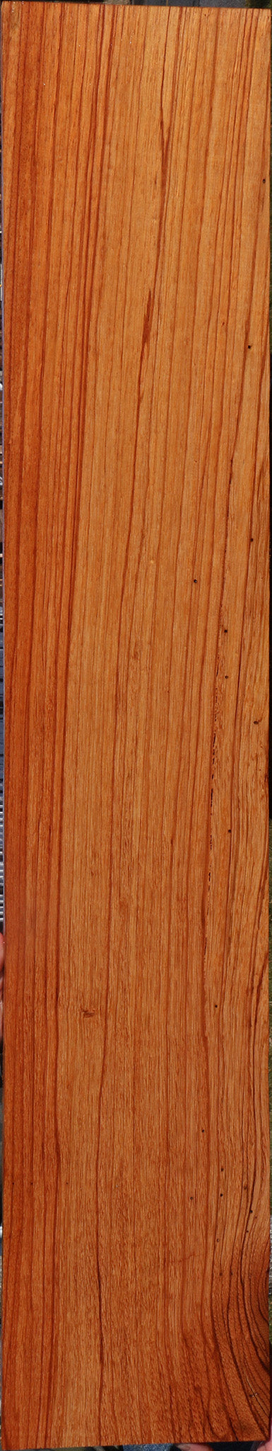 Ebiara Lumber