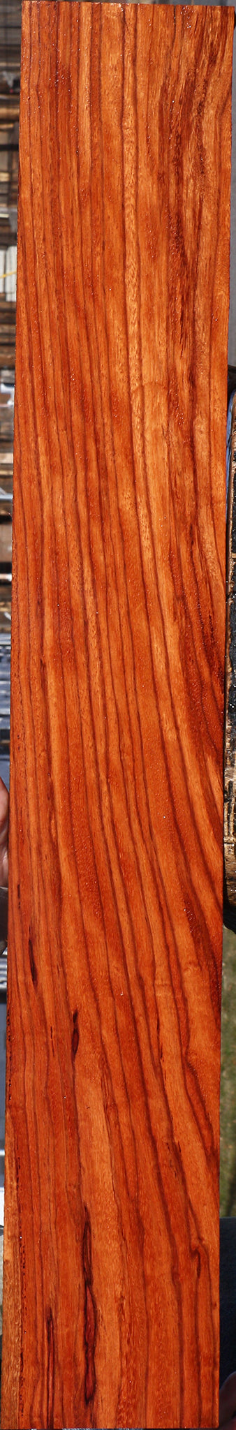 Ebiara Lumber