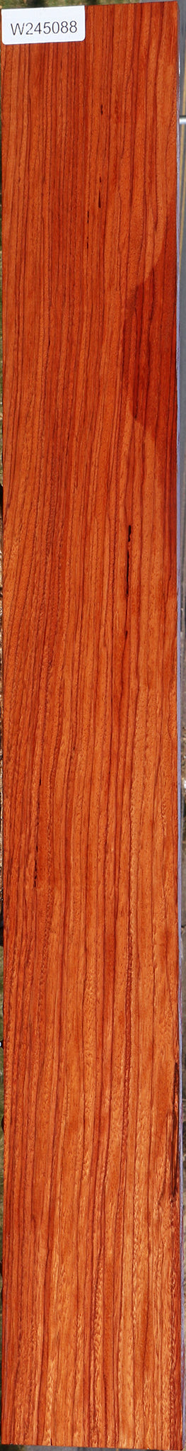 Ebiara Lumber