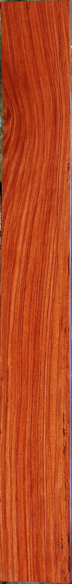Ebiara Lumber