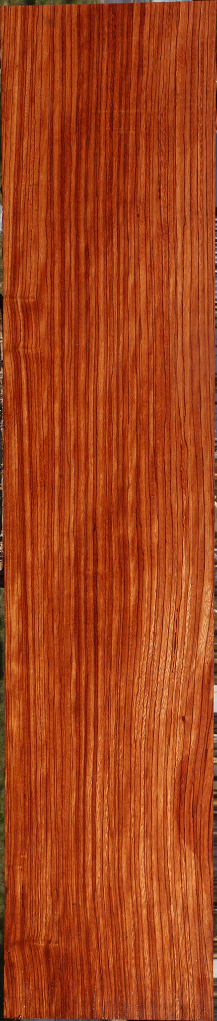Ebiara Lumber