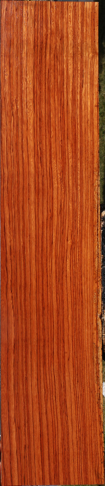 Ebiara Lumber