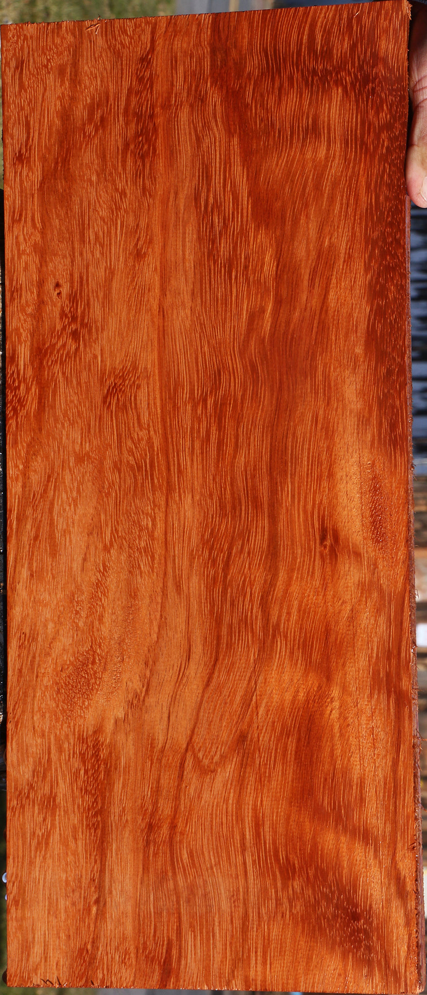 Ebiara Lumber