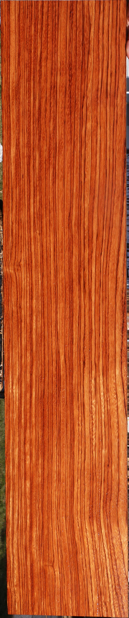 Ebiara Lumber