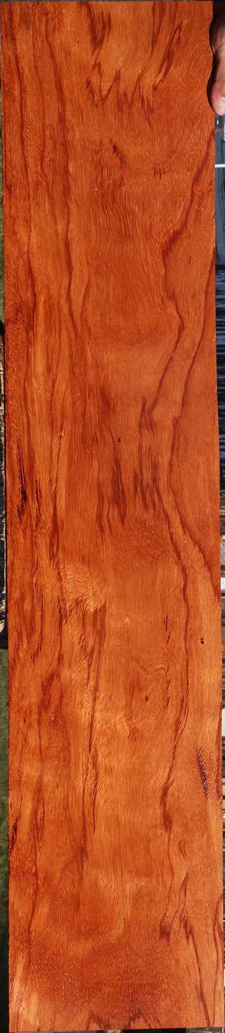 Extra Fancy Ebiara Lumber