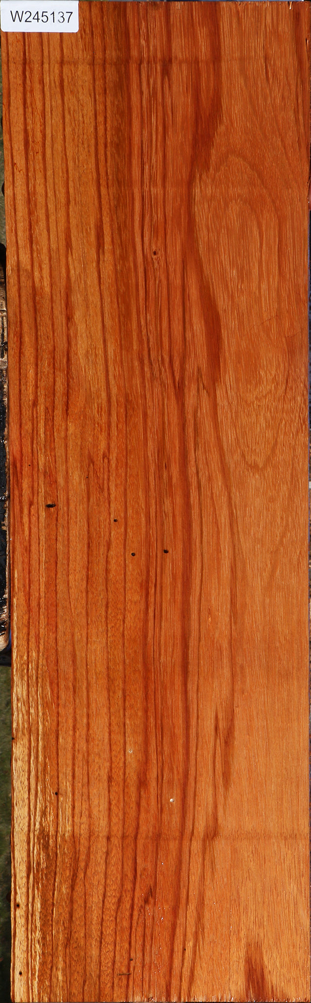 Ebiara Lumber
