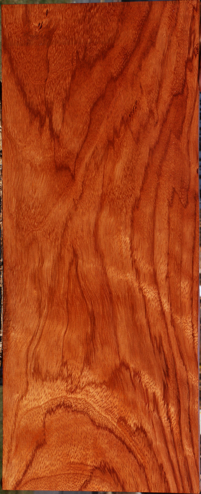 Ebiara Lumber