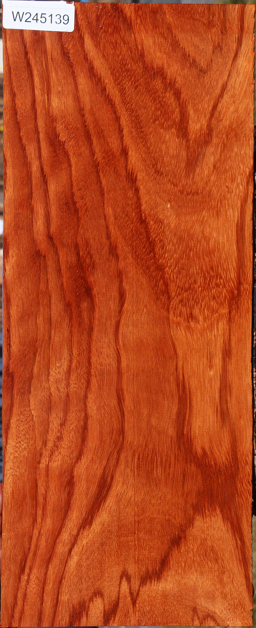 Ebiara Lumber