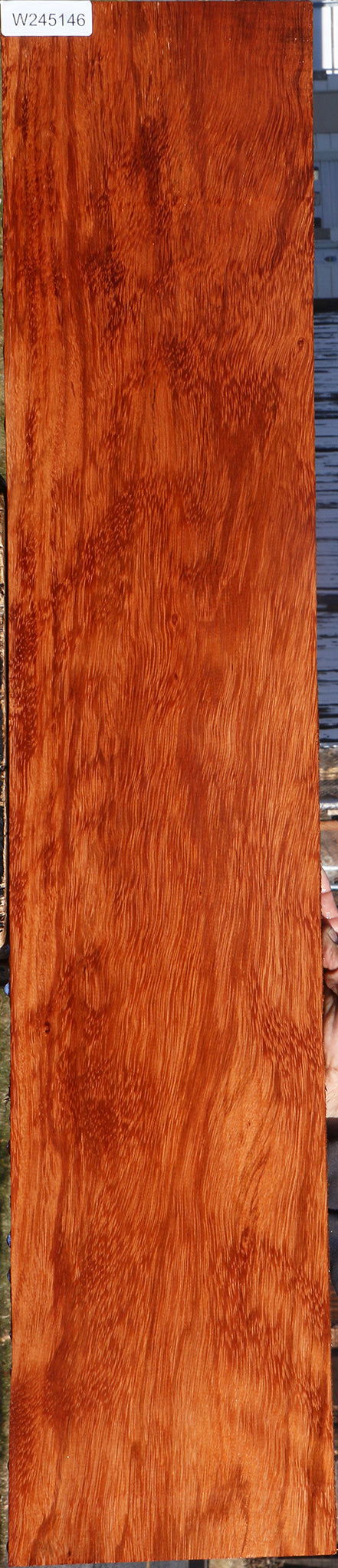 Ebiara Lumber