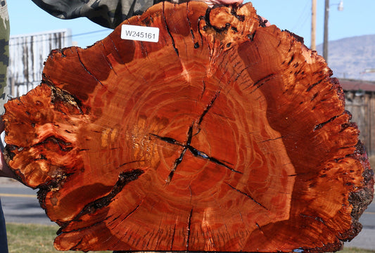 Brazilian Pepperwood Burl Slice