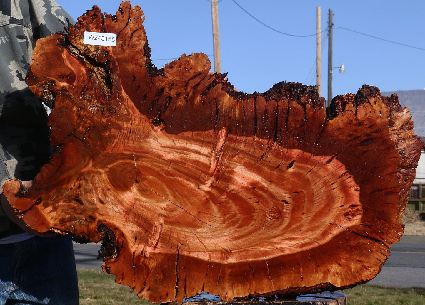 Brazilian Pepperwood Burl Cookie