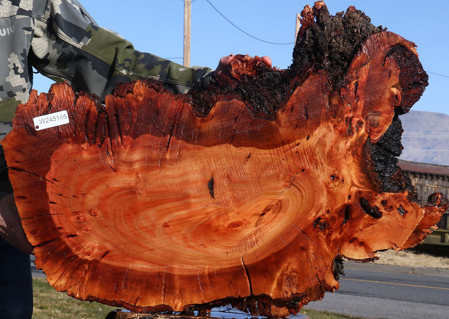 Brazilian Pepperwood Burl Cookie
