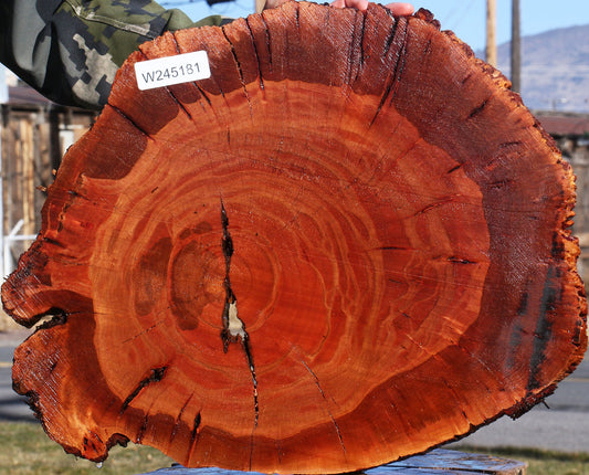 Brazilian Pepperwood Burl Cookie