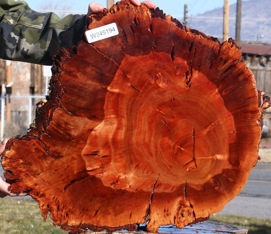 Brazilian Pepperwood Burl Cookie