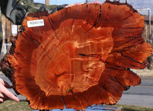 Brazilian Pepperwood Burl Cookie