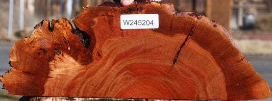 Brazilian Pepperwood Burl Slice