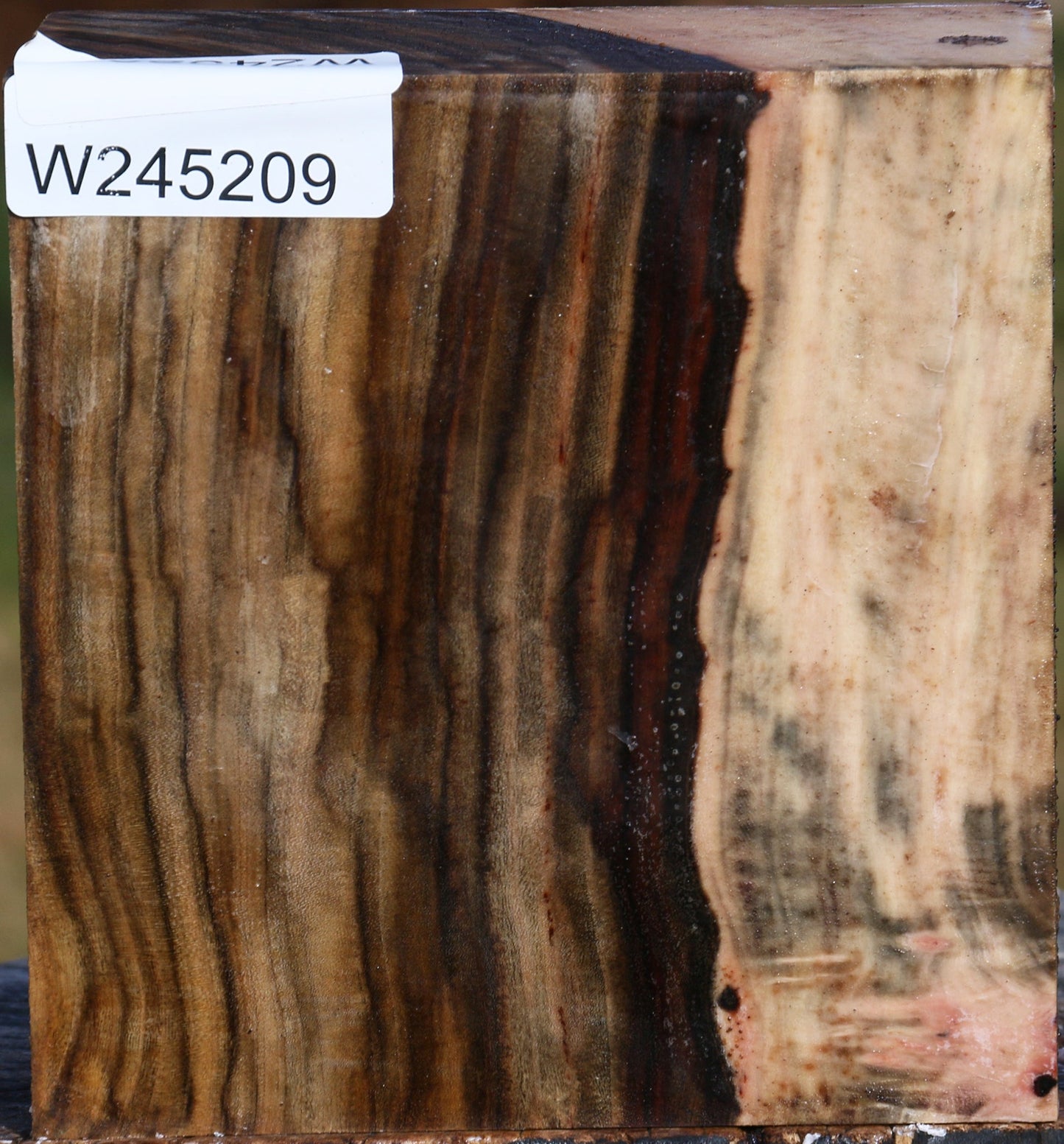 Figured Pistachio Bowl Blank