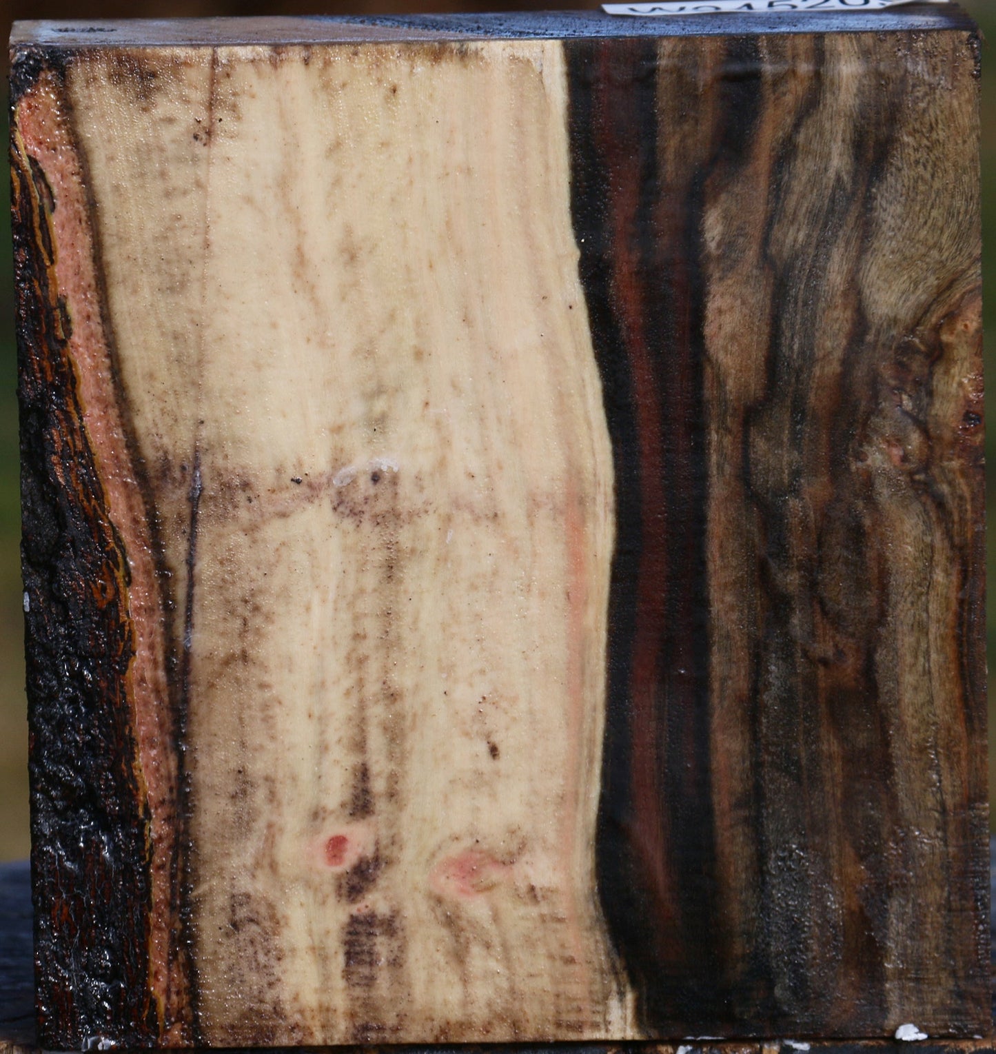 Figured Pistachio Bowl Blank