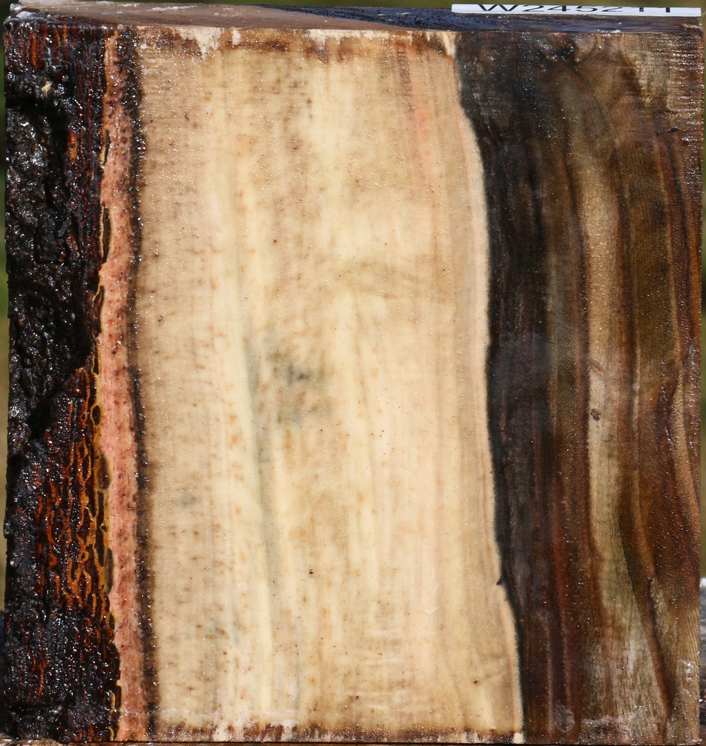 Figured Pistachio Bowl Blank