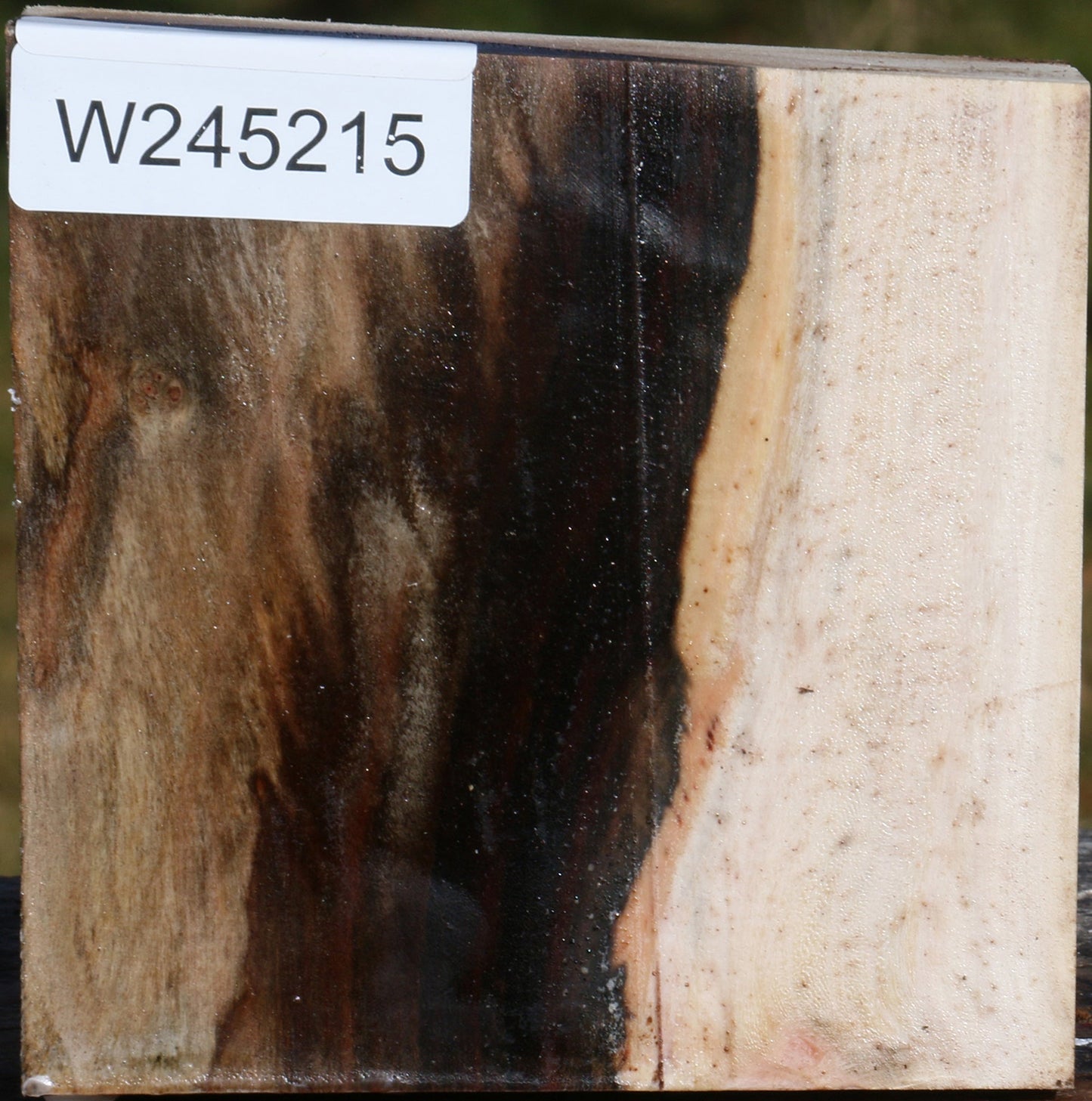 Pistachio Bowl Blank