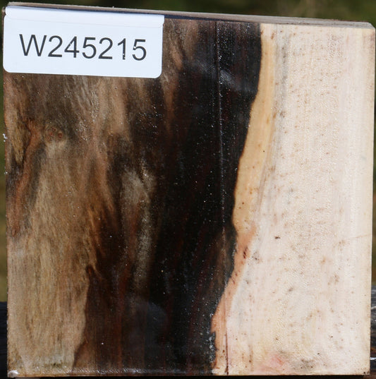 Pistachio Bowl Blank