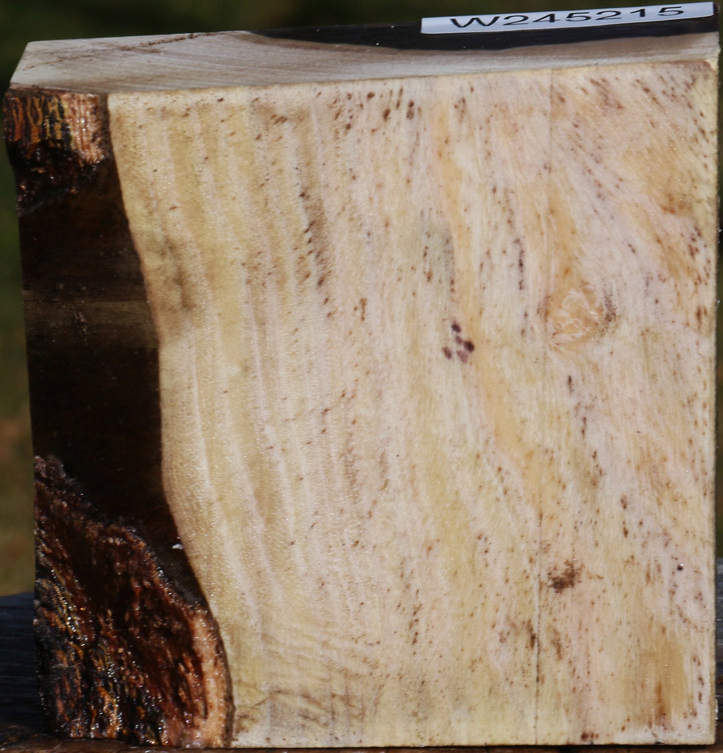 Pistachio Bowl Blank