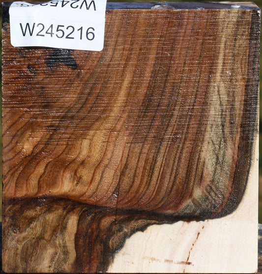 Grafted Pistachio Bowl Blank