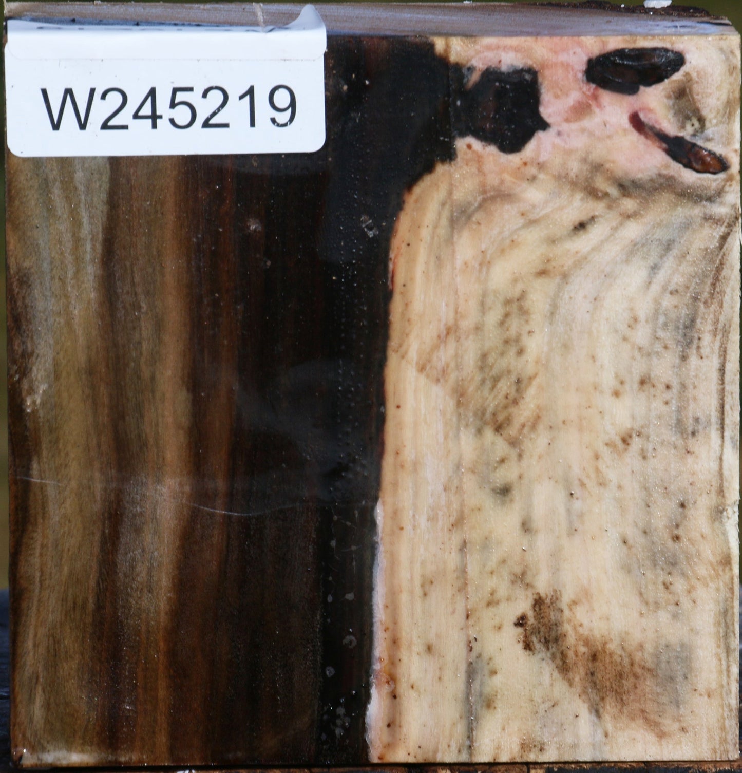 Pistachio Bowl Blank