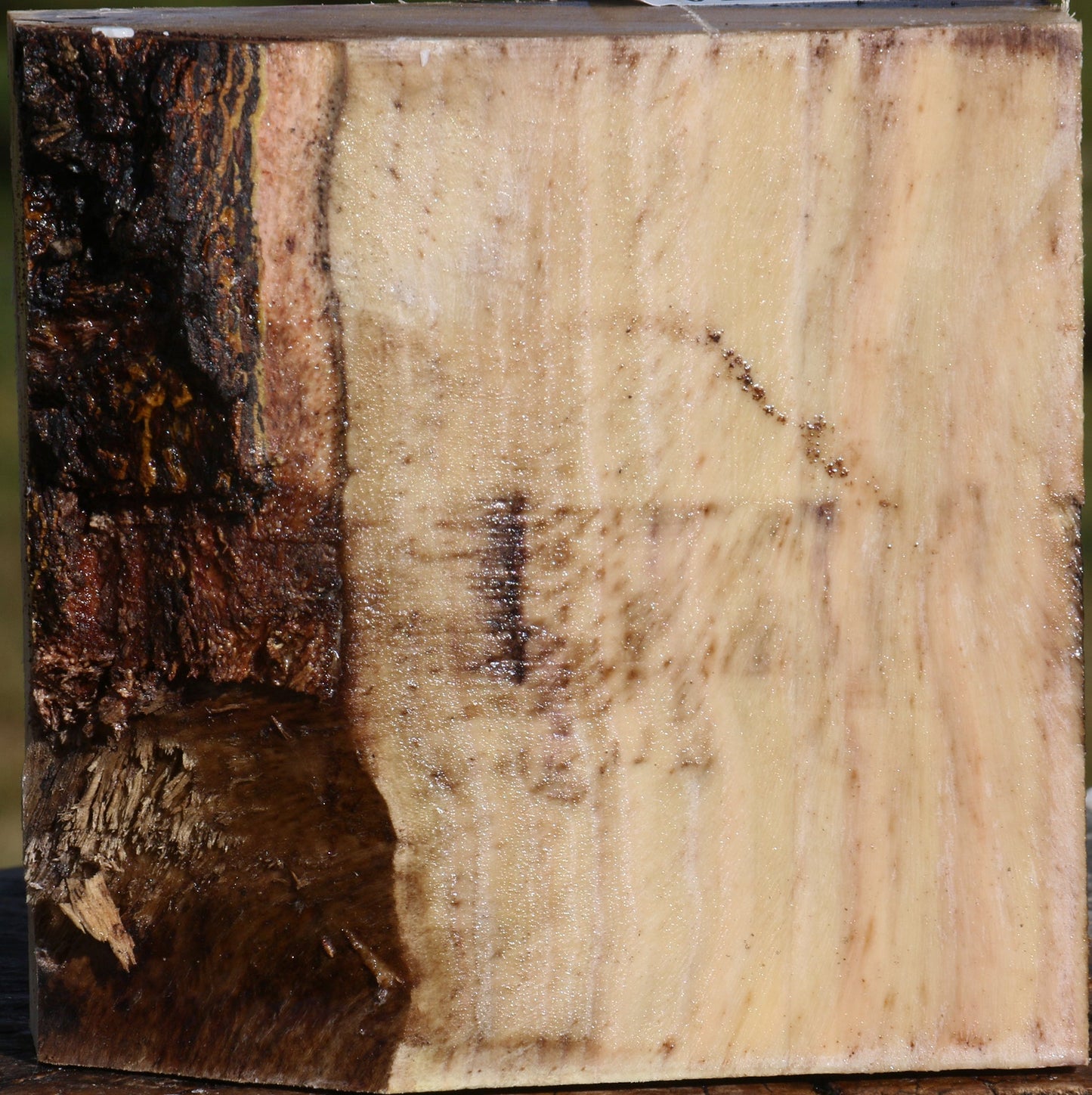 Pistachio Bowl Blank