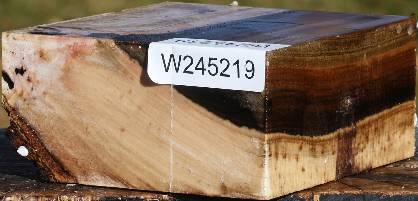 Pistachio Bowl Blank