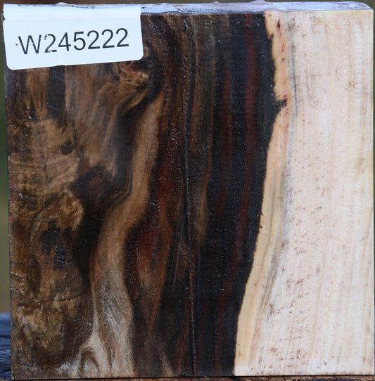 Pistachio Bowl Blank