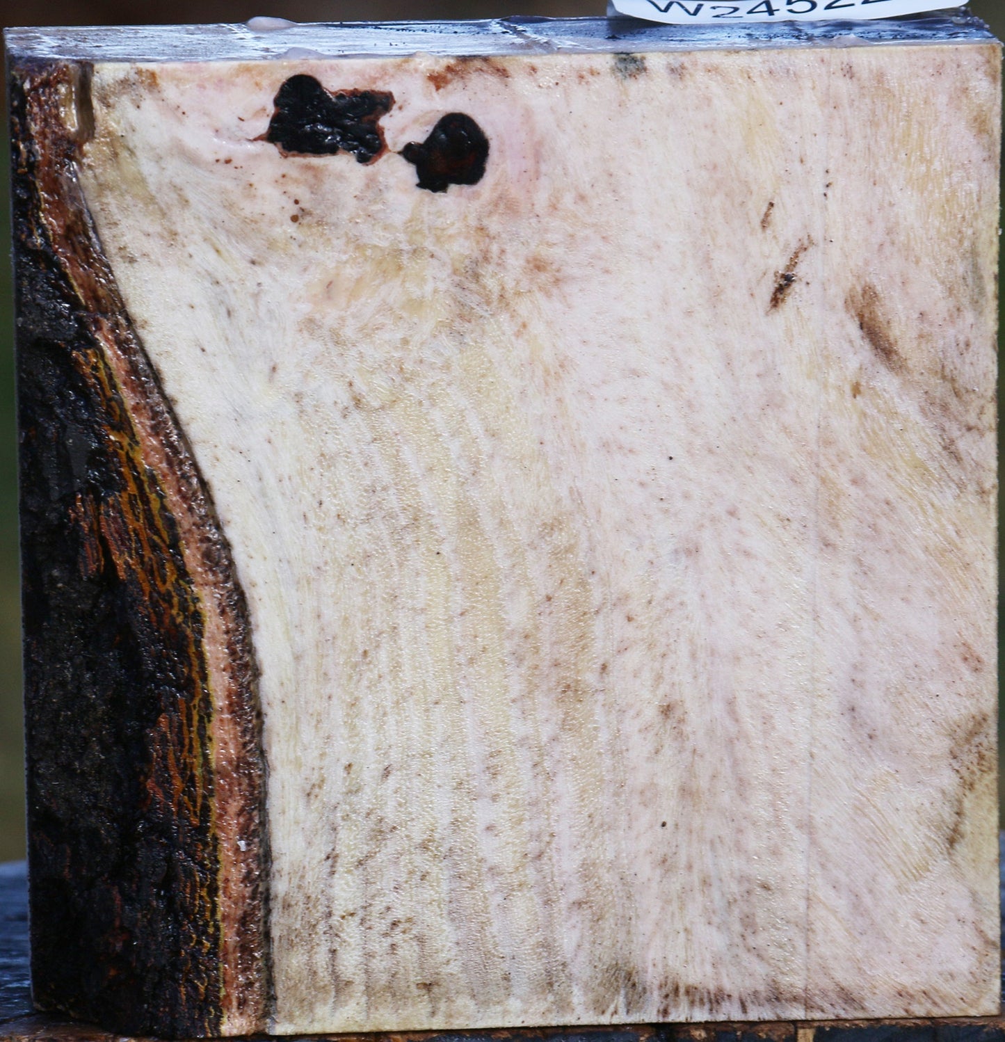 Pistachio Bowl Blank