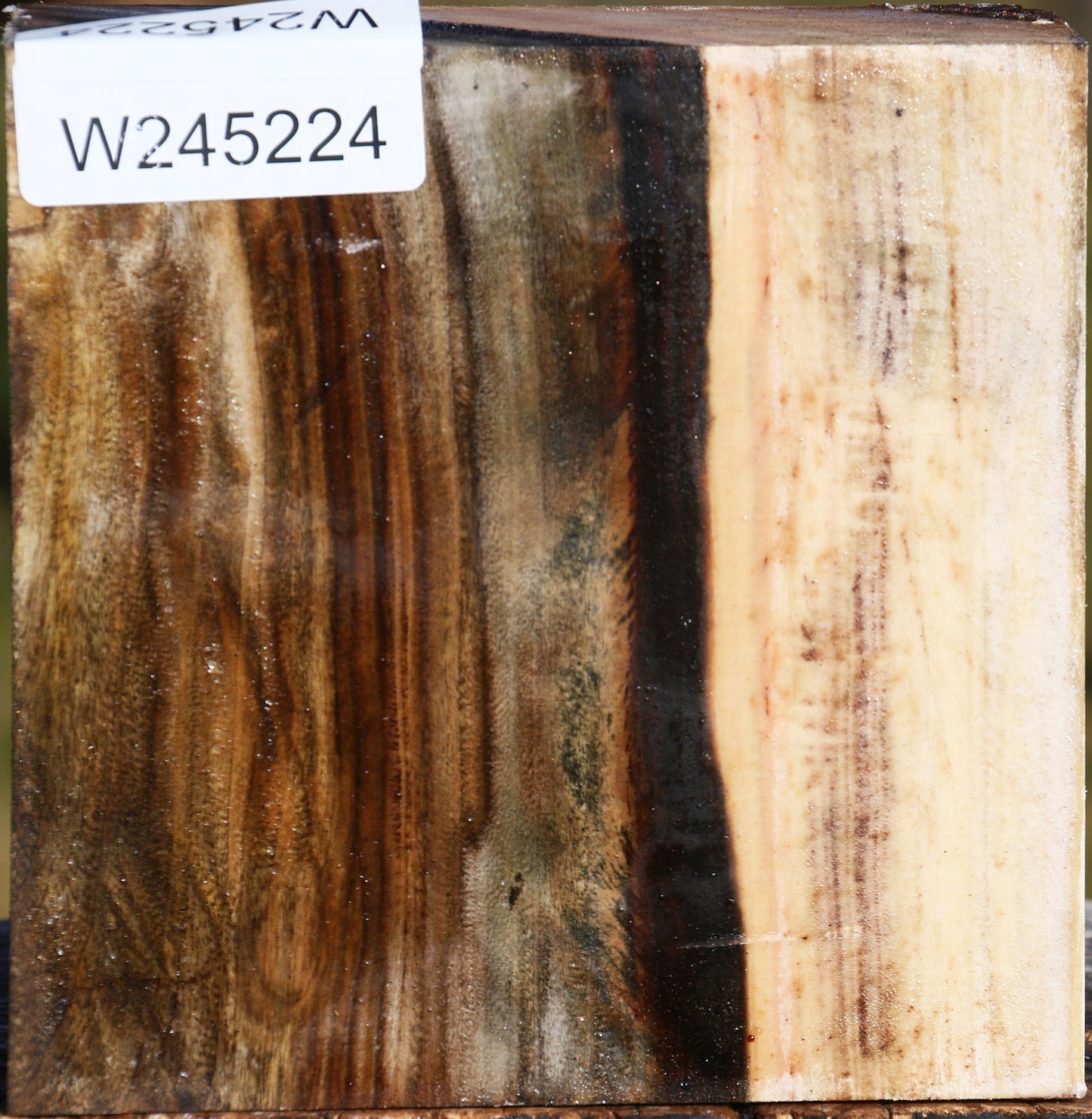 Pistachio Bowl Blank